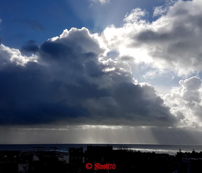 Bourgeonnements hivernaux, Le Havre (76) le 10/02/2019