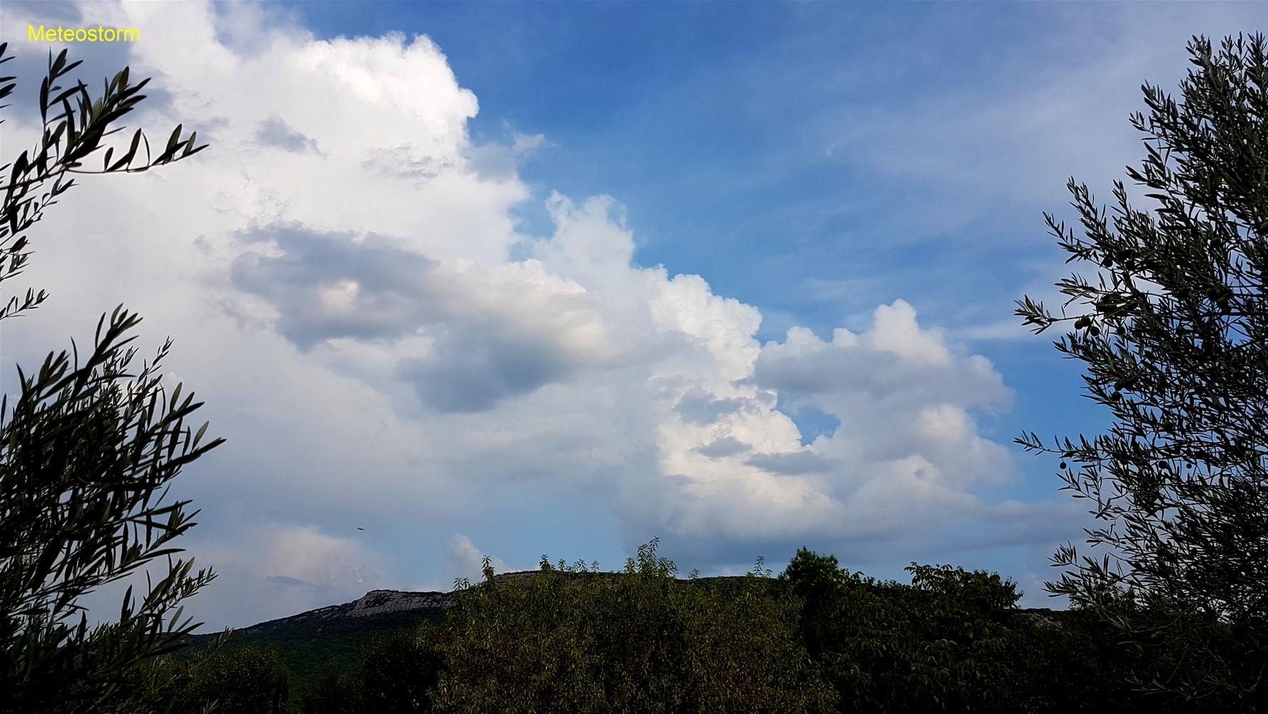 Bourgeonnements et orage