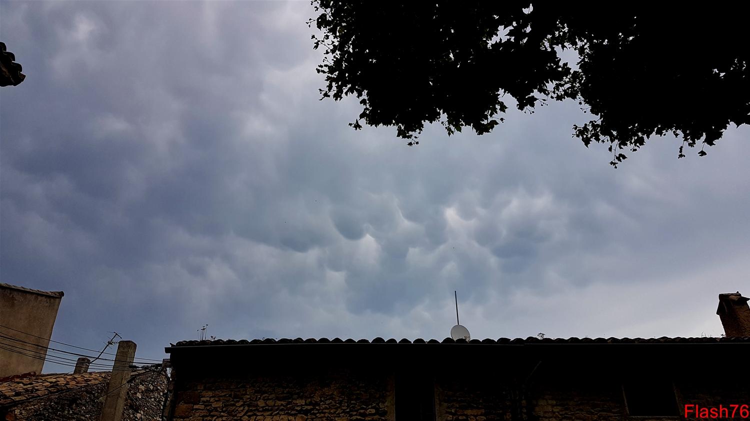 Petits mammatus