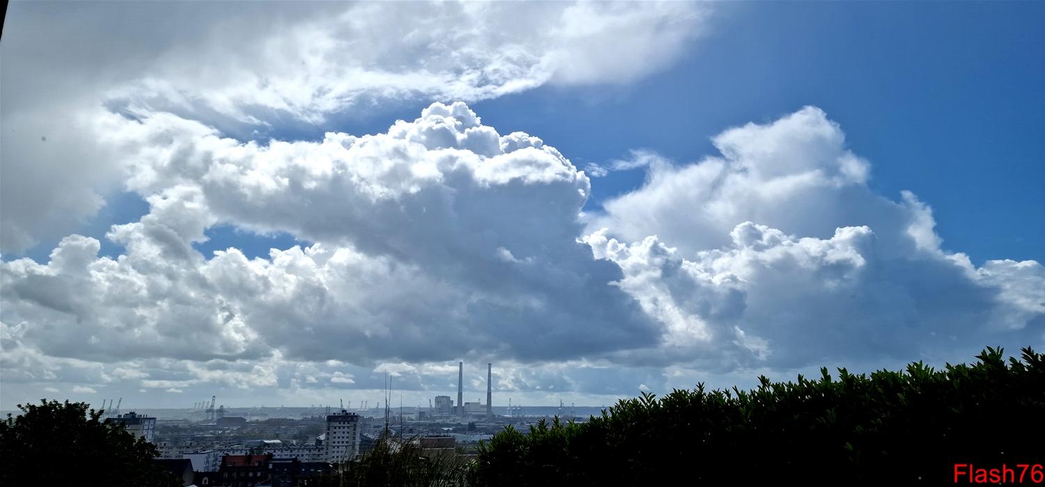 Cumulus congestus